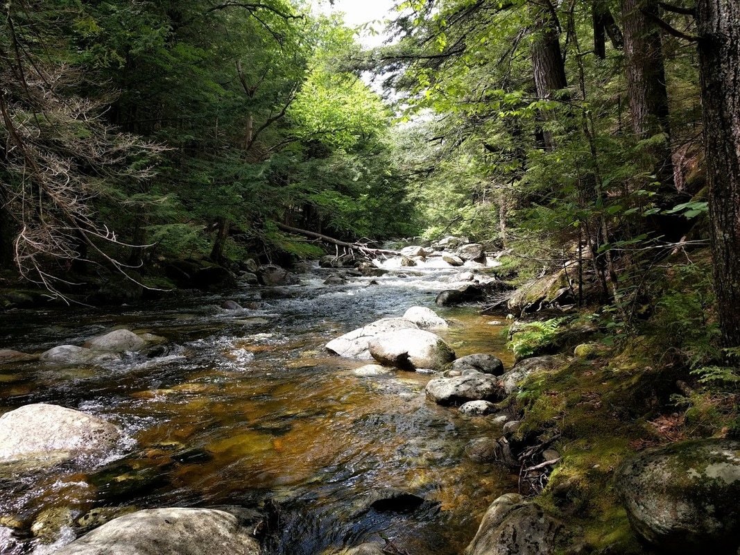 RichardMarinos's tweet photo. I'm recruiting a grad student (M.S. or Ph.D.) to join the Watershed Biogeochemistry lab at @UBGeology
 in 2020! Research in the lab focuses on the role of water in controlling carbon and nutrient cycling in human-impacted ecosystems. More info: https://t.co/gy8Mgjg79I Please RT! https://t.co/9071bAnDwq