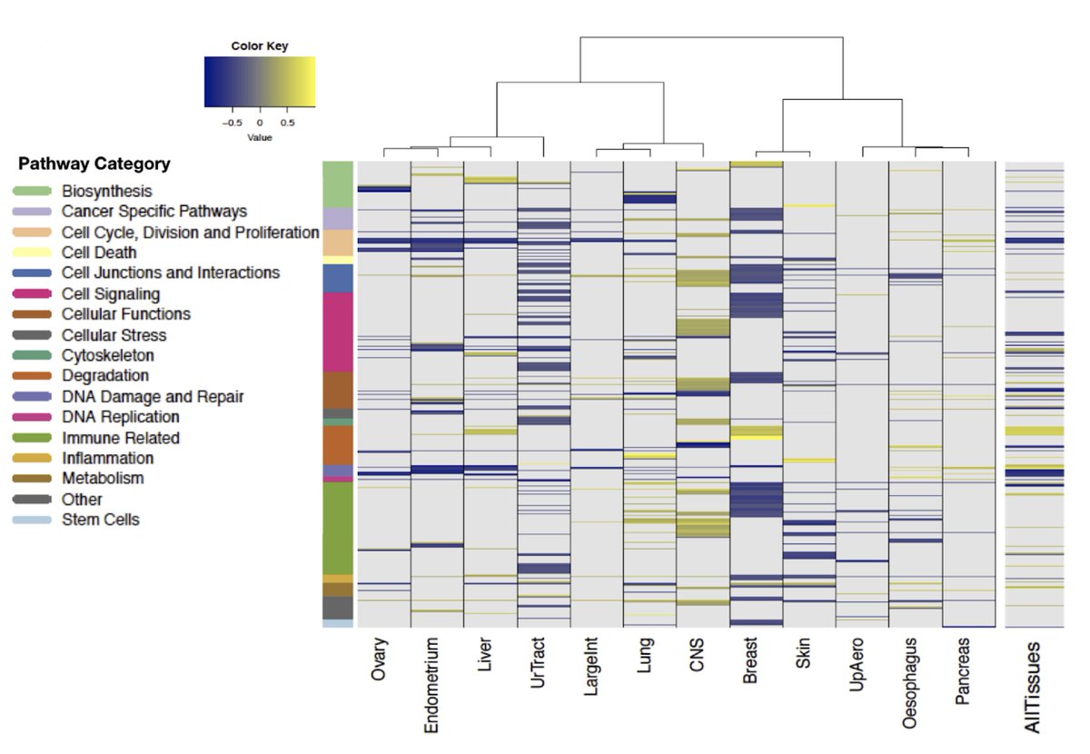 CR_AACR's tweet image. Lack of biomarkers for radioresponse hamper precision #radiotherapy. Manem et al developed RadioGX, a computational toolbox for the analysis of radiogenomics datasets. #Radiogenomics #PrecisionMedicine @UHN @uoftmedicine @Mohamed_Abazeed bit.ly/2OKvzgB