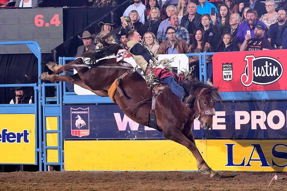 <a href="/tybreuer/">Ty Breuer</a> won nearly $90,000 while competing at just 27 <a href="/PRCA_ProRodeo/">PRCA ProRodeo</a> events in 2019 and returns to the <a href="/LasVegasNFR/">Wrangler National Finals Rodeo</a> for the fifth time. twistedrodeo.com/2019/11/26/fas…