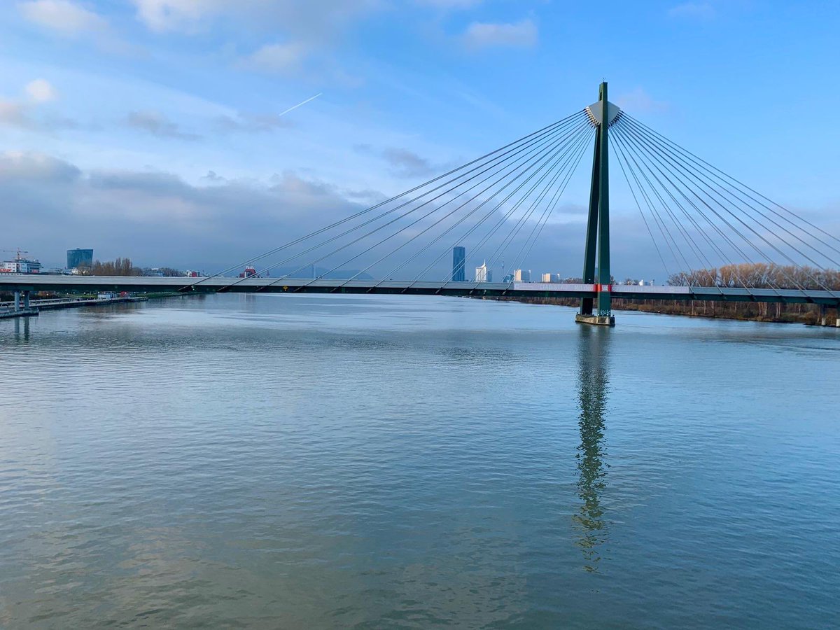 Club Peloton tweet media