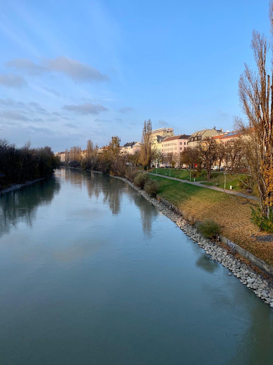 Club Peloton tweet media