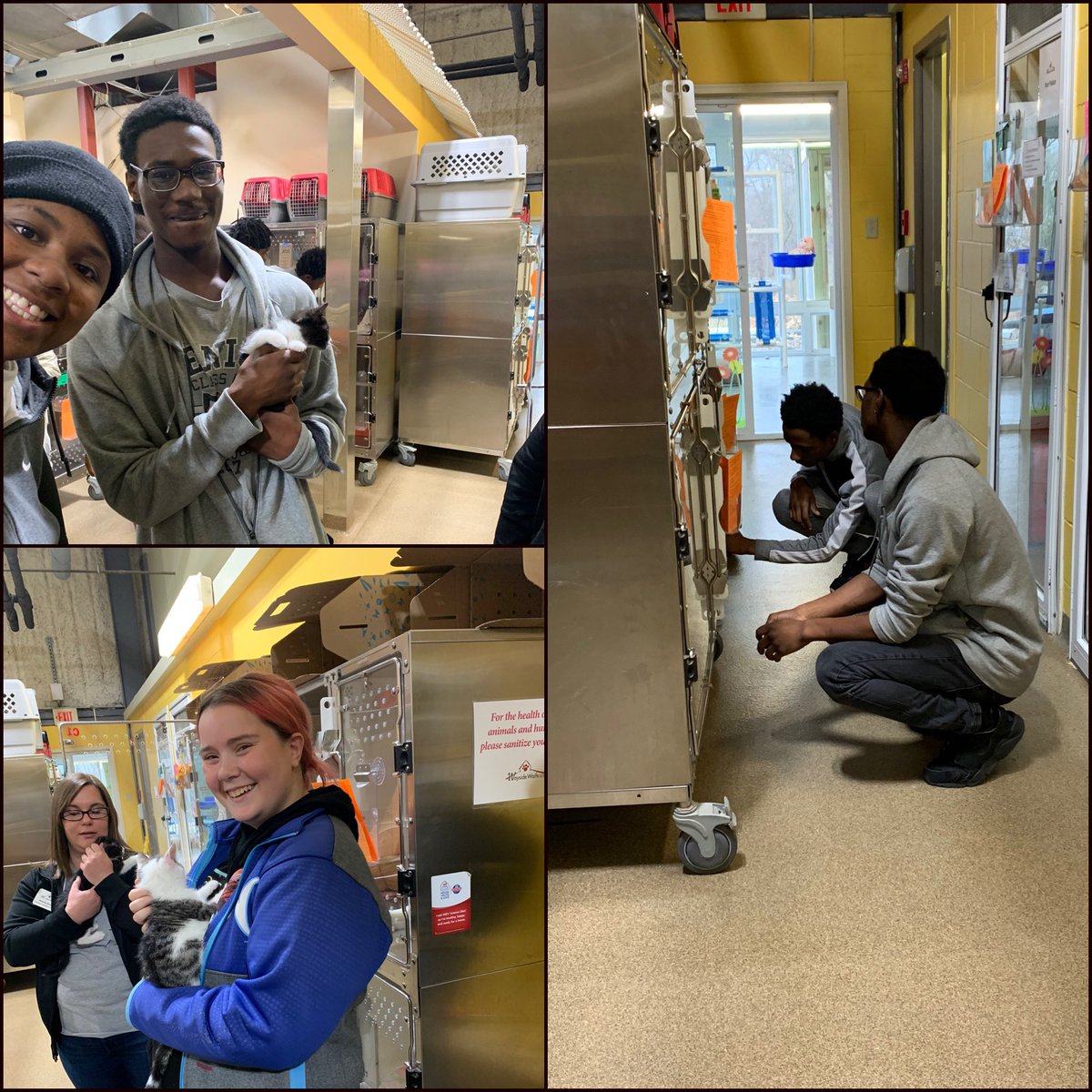 mhamiltonCSD's tweet photo. I had the opportunity to take students from @CenterAltSchool to volunteer at @WaysideWaifs this morning! #CASJackets https://t.co/zDUs8vxVAt