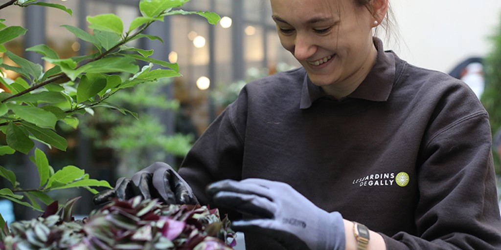 Pensez à cajoler vos #plantes d'intérieur, nos jardiniers les entretiennent en protection biologique, sans pesticide !
Contactez-nous ! 
👉ow.ly/2hQe50xjMjW