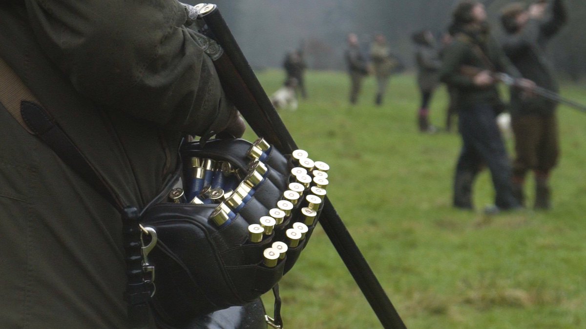 Subscribe and check out our latest video on #TeamWildTV 👇
youtube.com/watch?v=HqO6M4…