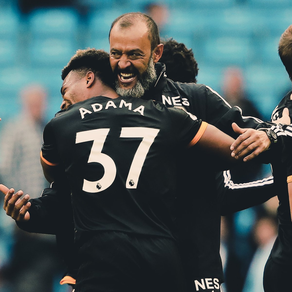 Wolves tweet picture