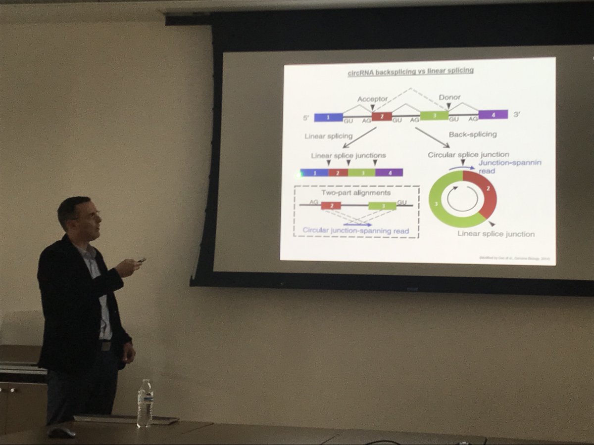 Neuro_Genomics's tweet image. We are pleased to host Dr. Nikolaos Mellios from @UNMHSC @UNM for a special Seminar of the @HopeHappens4ND Neurogenetics &amp;amp; Transcriptomics group. Dr. Mellios&apos;s talk is titled &quot;A neuropsychiatric disease-associated #circRNA controls #synaptic function and cognition&quot; #noncodingRNA