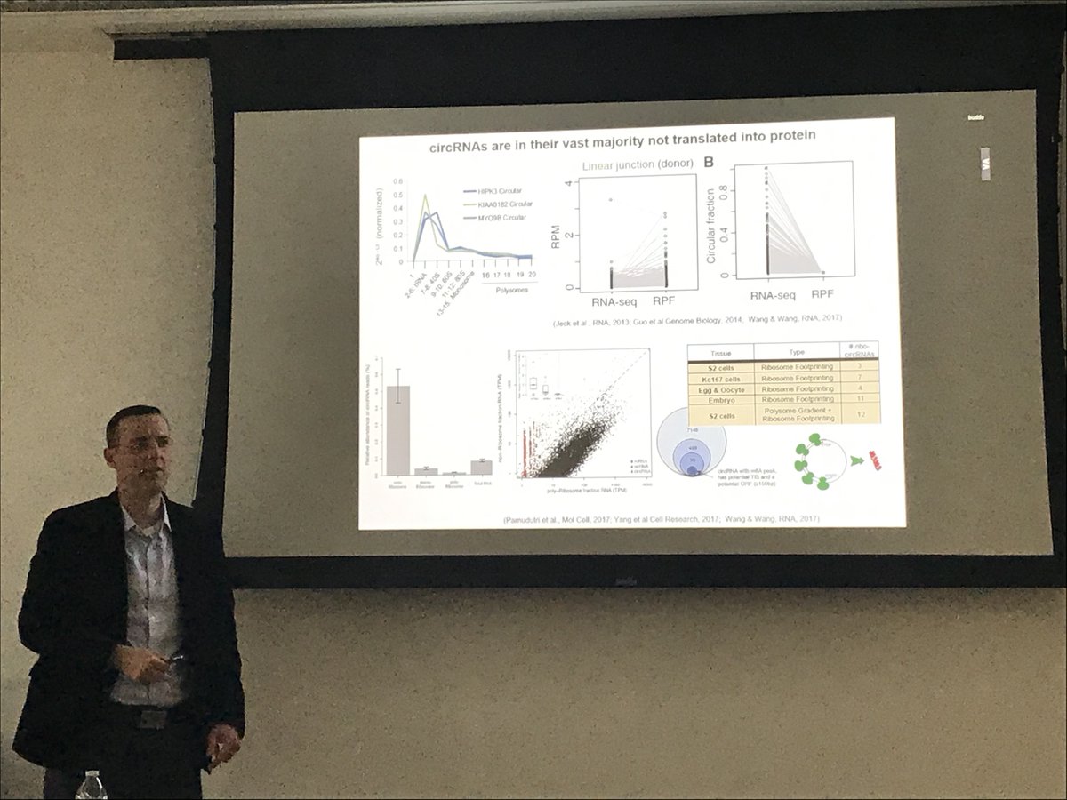 Neuro_Genomics's tweet image. We are pleased to host Dr. Nikolaos Mellios from @UNMHSC @UNM for a special Seminar of the @HopeHappens4ND Neurogenetics &amp;amp; Transcriptomics group. Dr. Mellios&apos;s talk is titled &quot;A neuropsychiatric disease-associated #circRNA controls #synaptic function and cognition&quot; #noncodingRNA