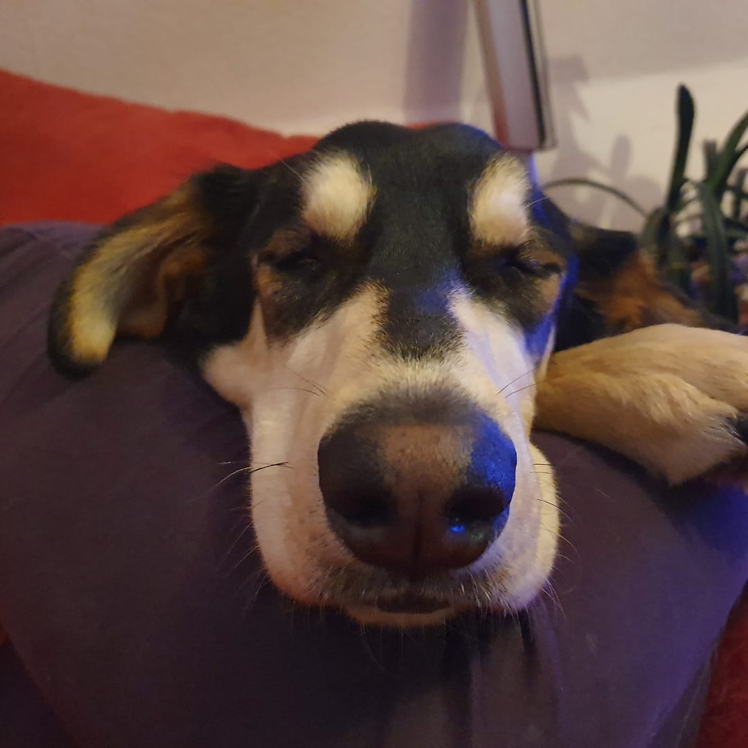 Ich chill' meine Basis