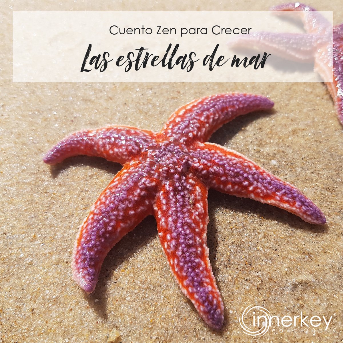 innerkeycoach's tweet photo. Hoy os dejamos una nueva entrega de "Cuentos Zen para Crecer", con una preciosa historia que nos recuerda que cada acto cuenta. ¿Con quién te identificas más, con el lanzador de estrellas, o con la primera reacción del escritor? 👉 https://t.co/bnQcao4zc2 #CrecimientoPersonal https://t.co/4E5HyWXtbC