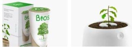 ¡ADIÓS A LAS BOTELLAS PLÁSTICAS Y A LOS CEMENTERIOS! ¿Tomarías agua en una cápsula de algas? 💦 ¿Plantarías una flor o árbol en las cenizas de un ser querido? 🌳 Existen dos alternativas ecológicas a lo tradicional.
🎧 Escuchá el debate haciendo clic 👇ar.ivoox.com/es/44754206