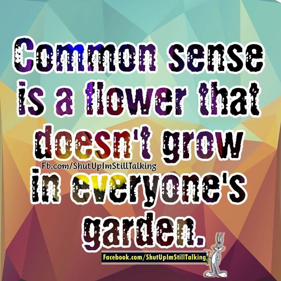 So4real Commonsense Is A Flower That Doesn T Grow In Everyone S Garden Shutupimstilltalking Quotes Lifelessons Wisdom Empathy Understanding Truthbetold Reminder Relatable Tuesdaythoughts Mentalhealth Conciousness