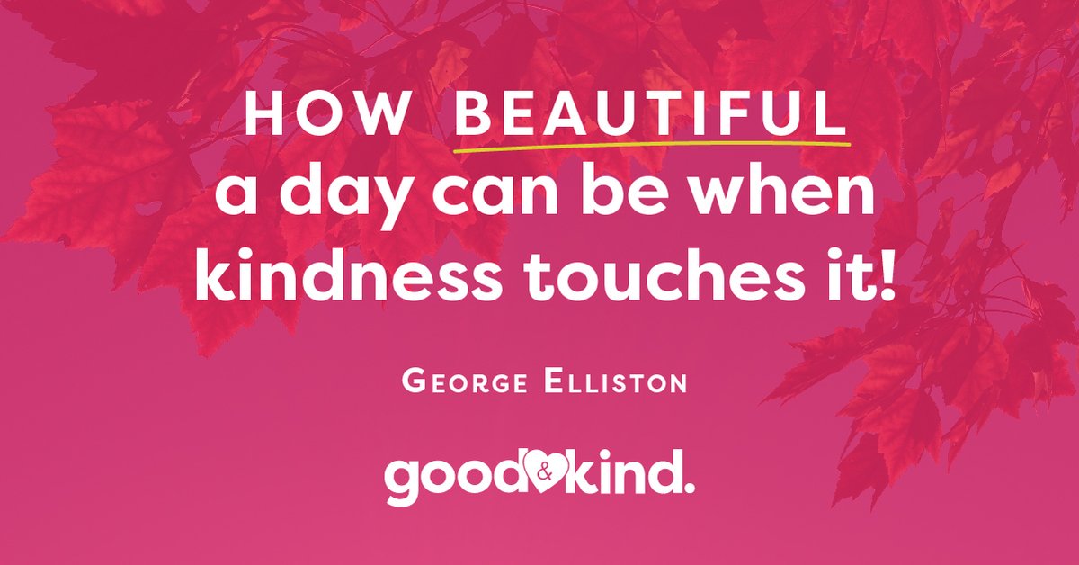GoodandKind tweet media
