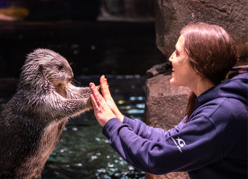 Aquarium on Twitter "We can't do what we do without you 💙 