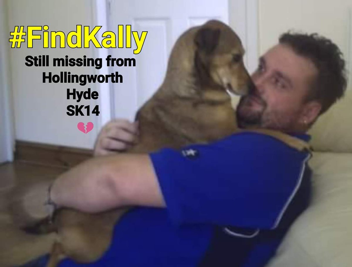 MissingPetsGB's tweet photo. π Please please keep sharing guys. If you share one post today please share to help #FindKally
It's been 7 weeks since Kally went missing π
Absolutely everywhere has been searched and no sign at all to help us find this gorgeous girly.
https://t.co/FV3cO6eQeG https://t.co/IeMeG2e1yS