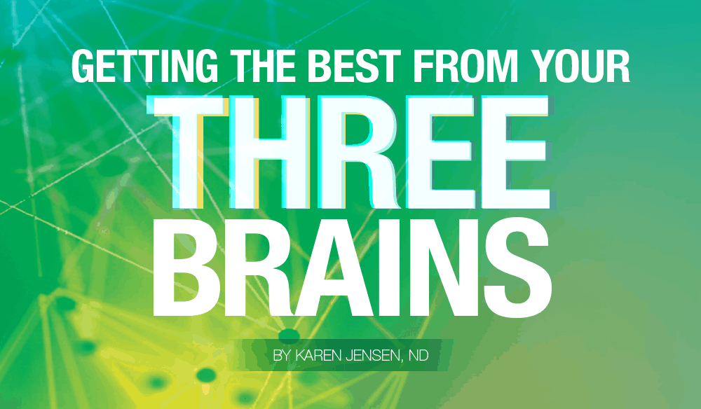 prefernutrition's tweet photo. @WomensVoiceMagazine Three brains? Who has three brains? You do! Your brain plus the other communication centres in your gut and heart! Learn how to get the best from your three brains.  https://t.co/q7gK2Y551W https://t.co/axJTmLrUF8