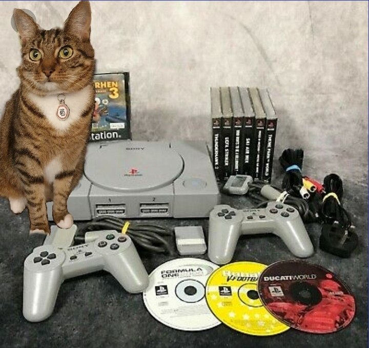 Cats on Consoles tweet media