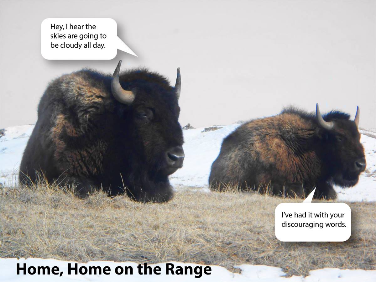 MidwestNPS's tweet photo. Will you be home, home on the range for the holidays? Don't be discouraged by clouds . . . or words. Visit a park! Thank goodness there are 419 national parks to choose from! Have favorite holiday memories in a park? #FindYourPark #HomeHomeontheRange #Holidaymemories https://t.co/m0s4tSRIuv