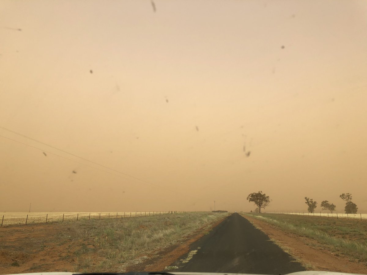 BikeSandals's tweet photo. Some random snaps from yesterday. 
Planning on moving next year away from the country. Looking forward to not putting up with this shit anymore. 

I’ve lived in this area for a long time and dust storms have NEVER been this bad or consistent. #Aussie #Duststorm https://t.co/g7M75NGTIZ