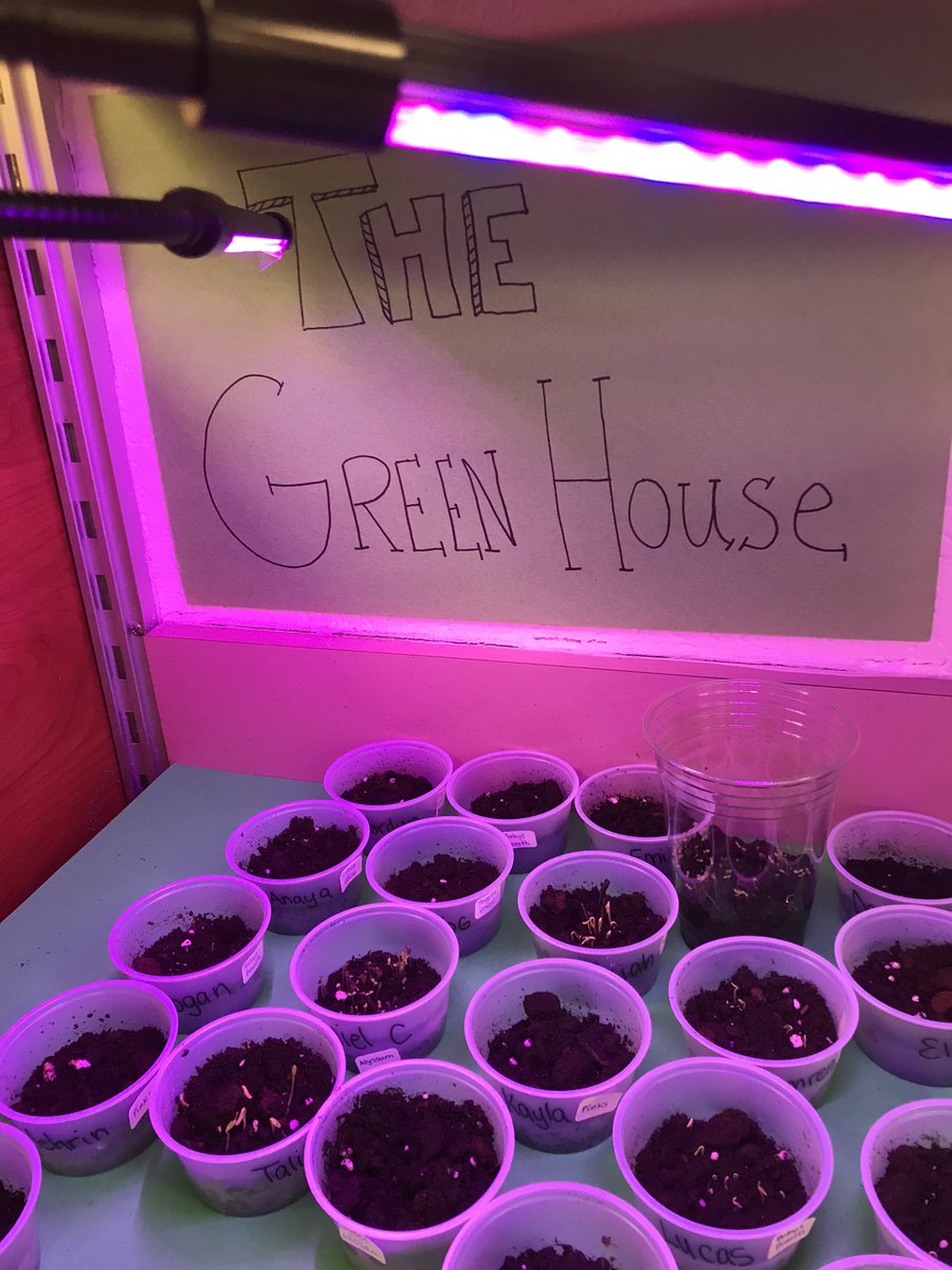 Our third grade students in Mrs. Glorioso’s science class are growing various plants as they inquire more about the parts of a plant. Stay tuned as the grow in the classes Green House. <a href="/AACPS_K5Science/">AACPS Elementary Science Office</a> <a href="/AACountySchools/">AACPS</a>