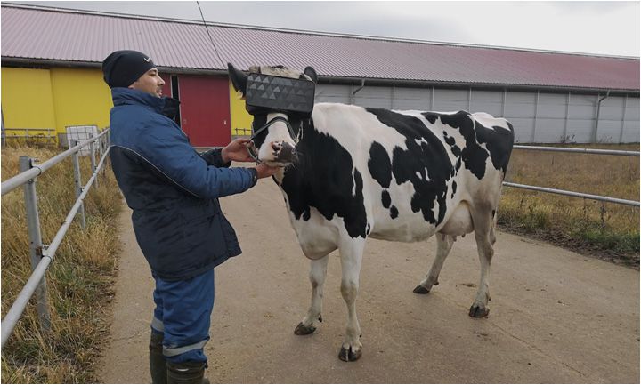 trendingpress1's tweet photo. Someone is putting VR headsets on cows, and we want to know why - https://t.co/E8fVcqGvas - Let’s just be up front here: yes, these pictures seem to show a cow wearing a virtual reality headset, and no, we don’t really know what’s going on here.
You may have seen these images ... https://t.co/b6Od1FsxdQ