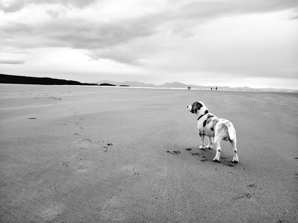 I woz on #Aberffraw beach on #Anglesey and I woz da only one dare!!