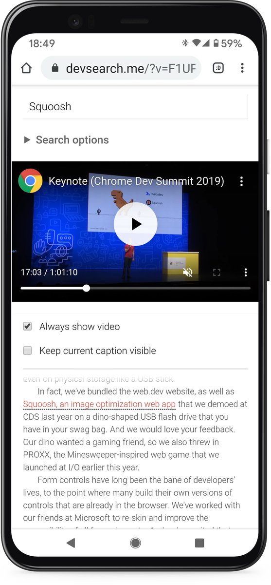 Screenshot of devsearch.me showing transcript highlighting caption that includes the word 'squoosh'.