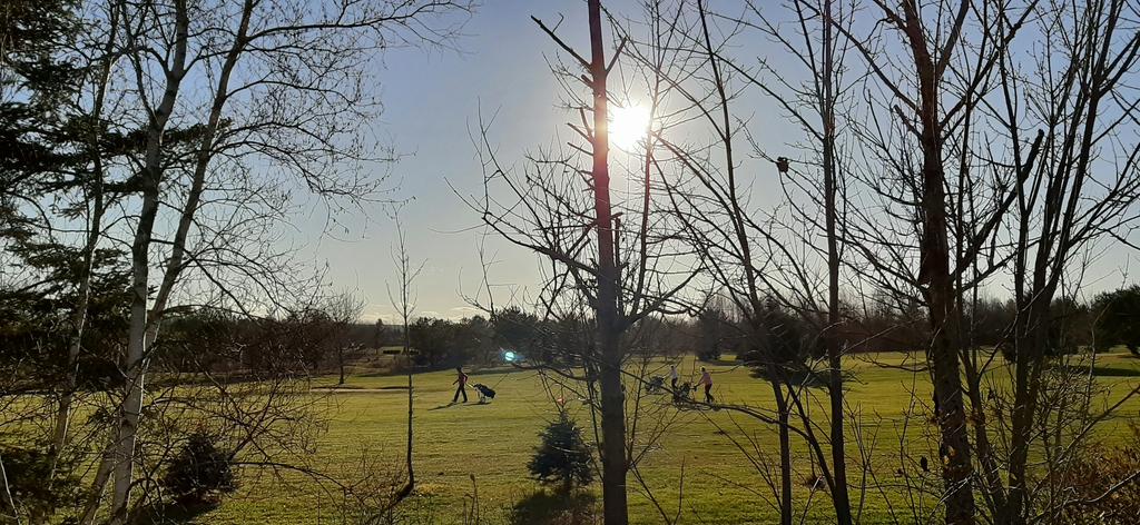 shelleymorse1's tweet photo. Exceptional autumn day, had to stop for a pic - 11° + sunny skies + no wind = happy #golfers at #EagleCrestGolfCourse #Centreville #NS | #ShareYourWeather @weathernetwork @MurphTWN @NicoleKarkic @KalinMitchelCTV @CBCWeather @CindyDayWeather @StormHour https://t.co/BqjCcXzNJ1