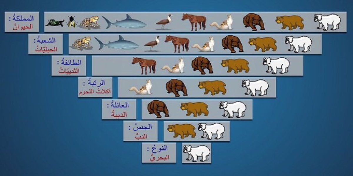 لم يتم العثور على الموضوع الذي تبحث عنه. 