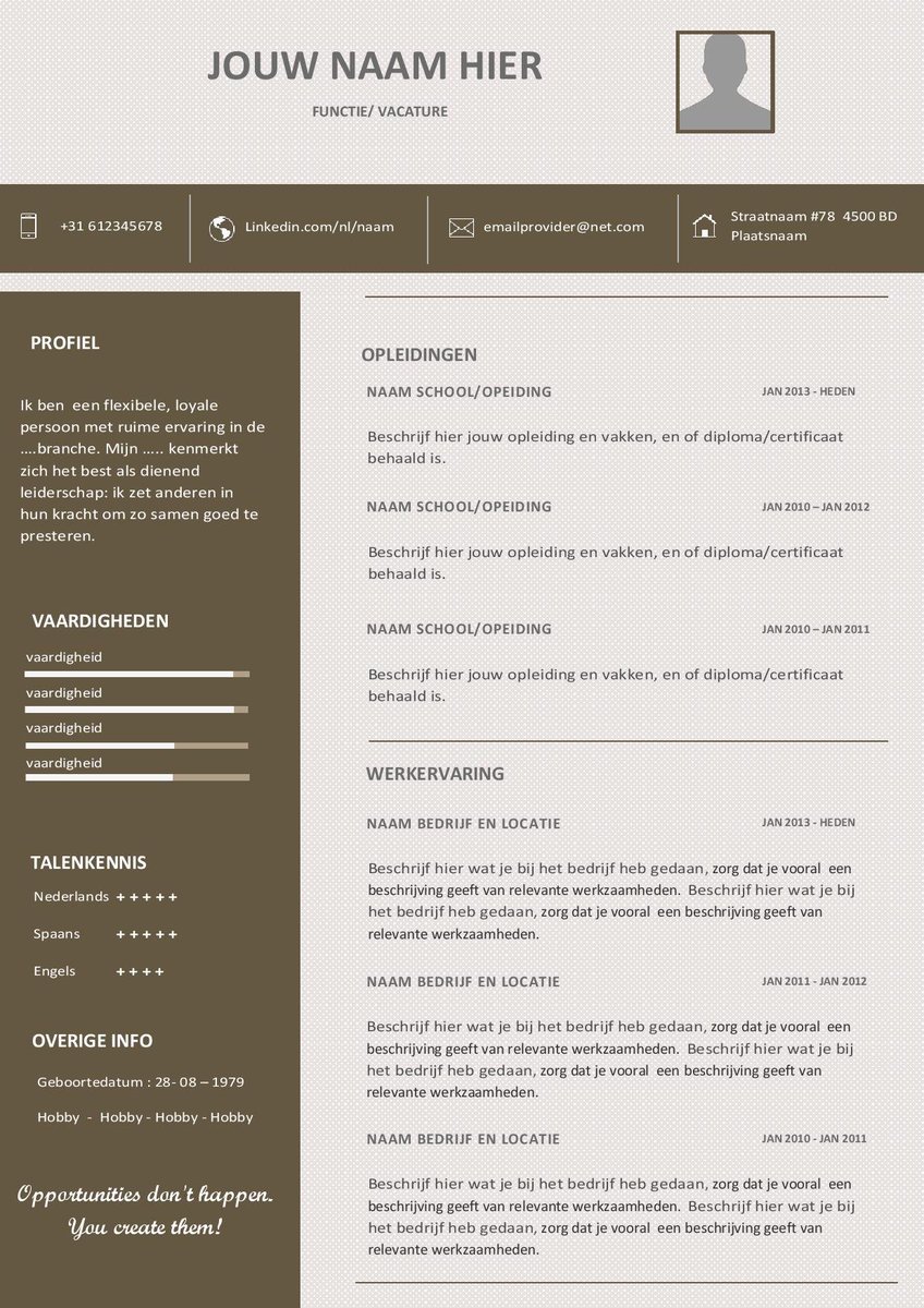 Download Template Cv Bahasa Indonesia Gratis - Contoh Gambar Template