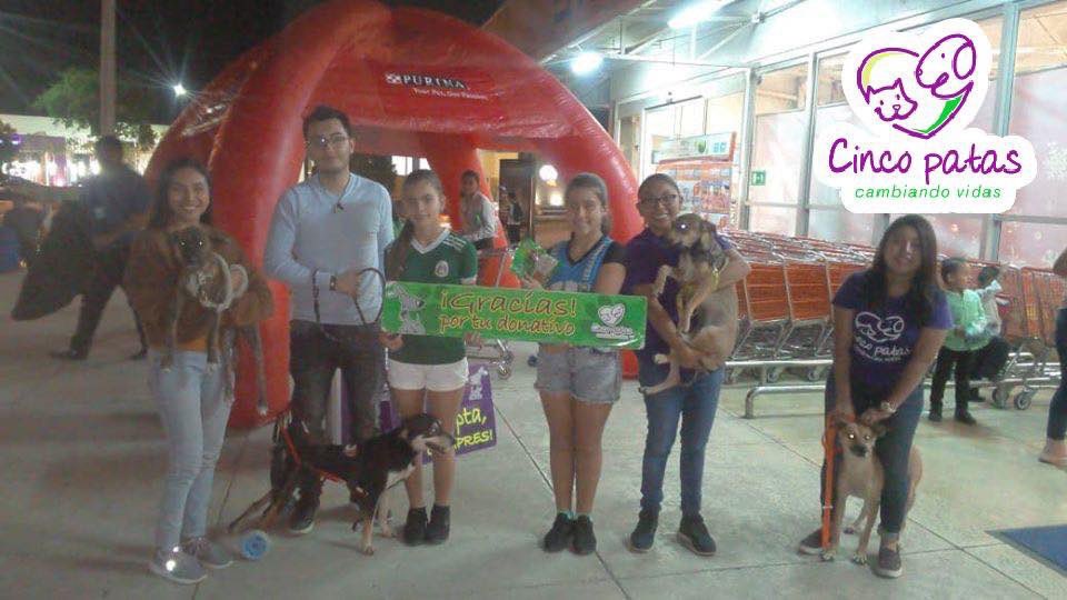 ¡Muchas gracias Chedraui Yucatán por ser la quinta pata!
500 kilos de croquetas de #Purina nos fueron entregados para alimentar las pancitas que tenemos esperando por una familia. 
Gracias a ti que compraste en #Chedraui y lo hiciste posible

#ChedrauiCuestamenos
#CincoPatas🐾