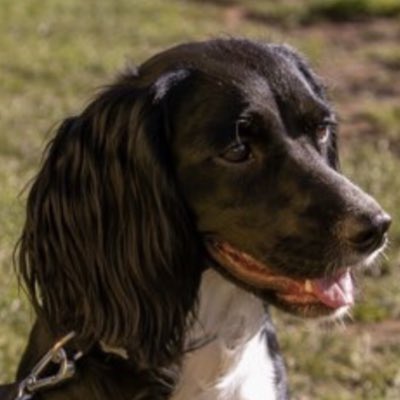 LeeHooper78's tweet photo. #NewProfilePic https://t.co/P3b0CEkvGH