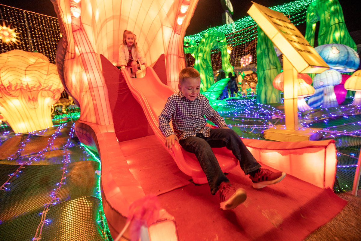 MWLHouston's tweet photo. Not only are our lanterns impressive to look at but you'll find some fun interactive lanterns in the mix 🦖

Visit https://t.co/uR5dT623K9 to buy tickets!

#magicalwinterlights #5yearsofmagicalwinterlights #holidayfestival #lanternfestival #iloveLa_Marque https://t.co/IXzPXim18C