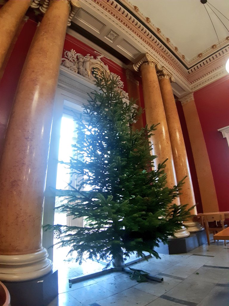 Today's best Christmas tree installations for <a href="/cambsxmastree/">Cambs xmas tree co. 🎄</a> , Hard call between <a href="/downingcollege/">Downing College</a> and many others! Going to sleep well tonight!! #Cambridge