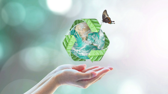 BelvedereEx's tweet photo. 8 Ways You Can Be More #EcoFriendly this #Holiday Season

Read more - https://t.co/Sgz01cPYCZ https://t.co/bOSh0DcmF5