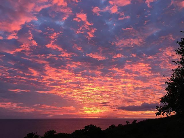 the_prattler's tweet photo. Going out on a high. #nofilter https://t.co/tICXXsO8kh https://t.co/2L9jTAhTUZ