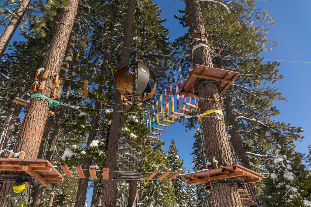 Tahoe city treetop coupon code
