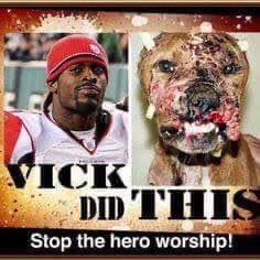 dingosbaby's tweet photo. @thecheckdown @NFL @MichaelVick @Lj_era8 @Ravens @EAMaddenNFL Vick is a piece of shit as is anyone who worships him. https://t.co/UZWclvjg0K