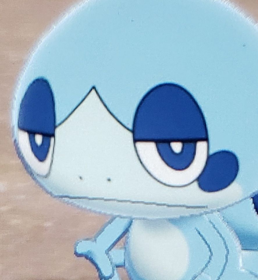 OoCPokemon's tweet photo. https://t.co/9tBb7WP7kd