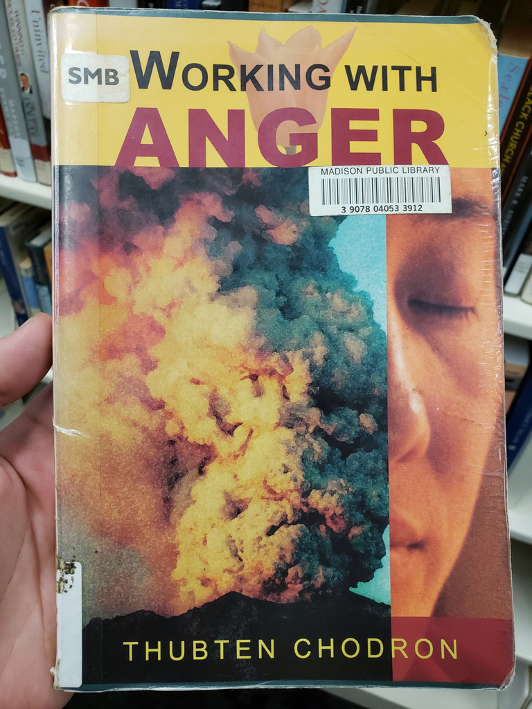 NrmalizeKindnes's tweet photo. I can't visit a library anymore without leaving a Kindness Card 😛 I was looking for a book on mindfulness to help me deepen my meditation practice. I chose the first one because what is "healthy anger?" It feels there isn't such a thing. 

#hiddenkindness #kindnesscards https://t.co/a0E6o5HDPL