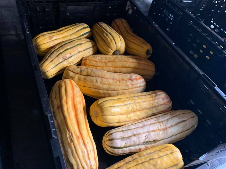 Curbside Market tweet media