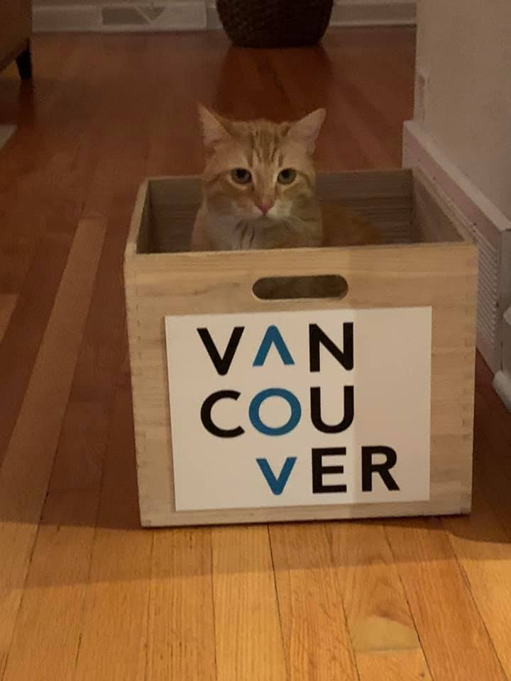 MeetVancouver's tweet photo. Thank you so much @MPICAC! All these goodies for our furry friends were donated to The @AntiCruelty Society - well, except for @RachaelMRiggs's cat! #siglunch19 #VanGiving https://t.co/8vU5RfUtoh