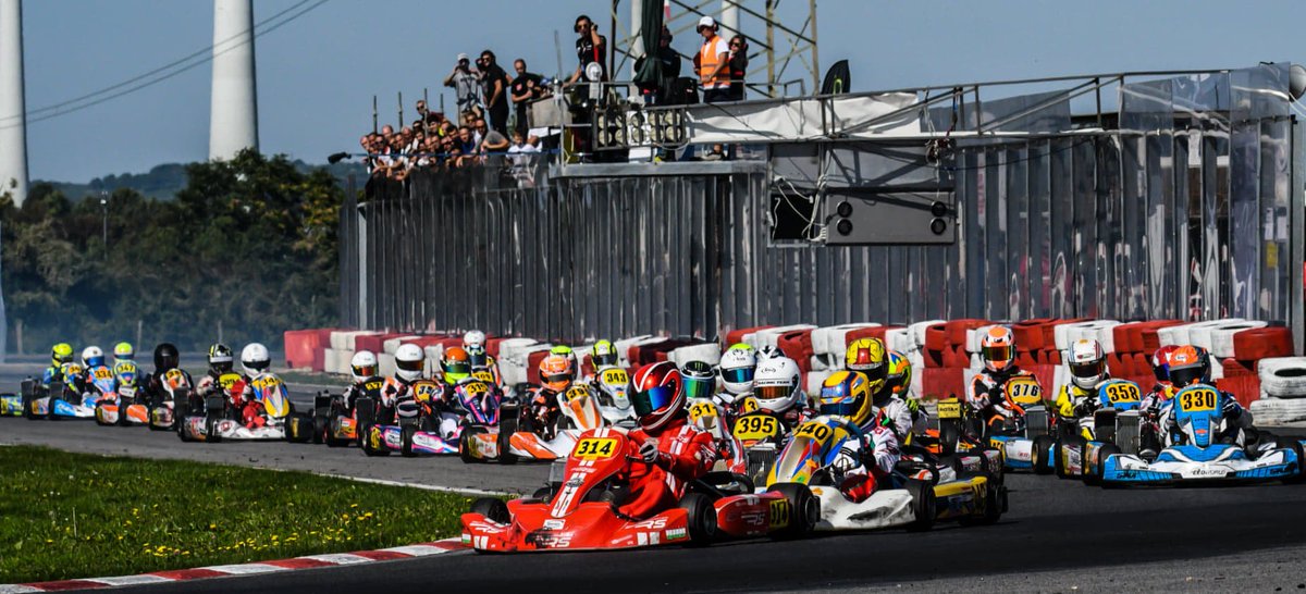 Benedek Vida tweet media