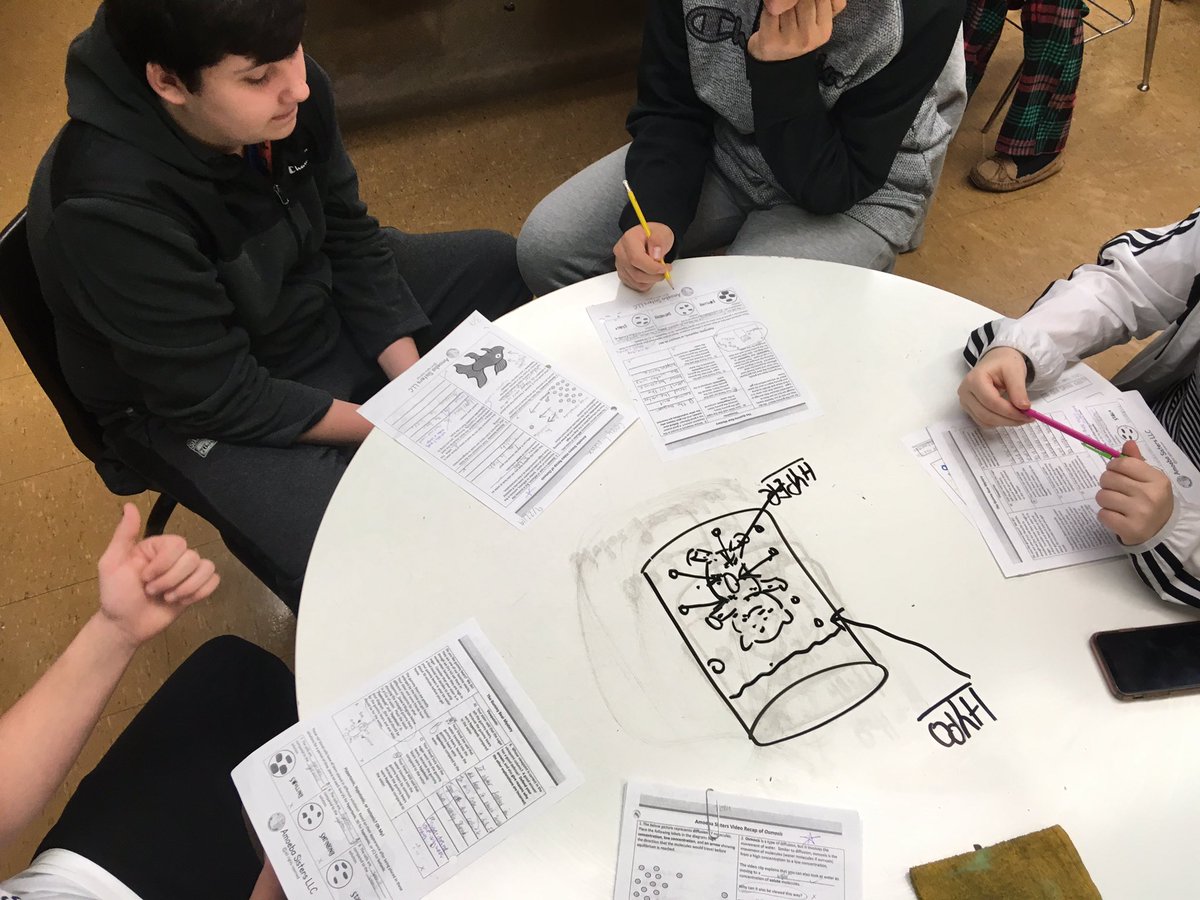 cdougherty455's tweet photo. “Wait, we’re doing work today?!” Yes! Bio students master concepts of osmosis through targeted small group instruction and lab! @IHSBucPride https://t.co/V8CZq3U8ZH
