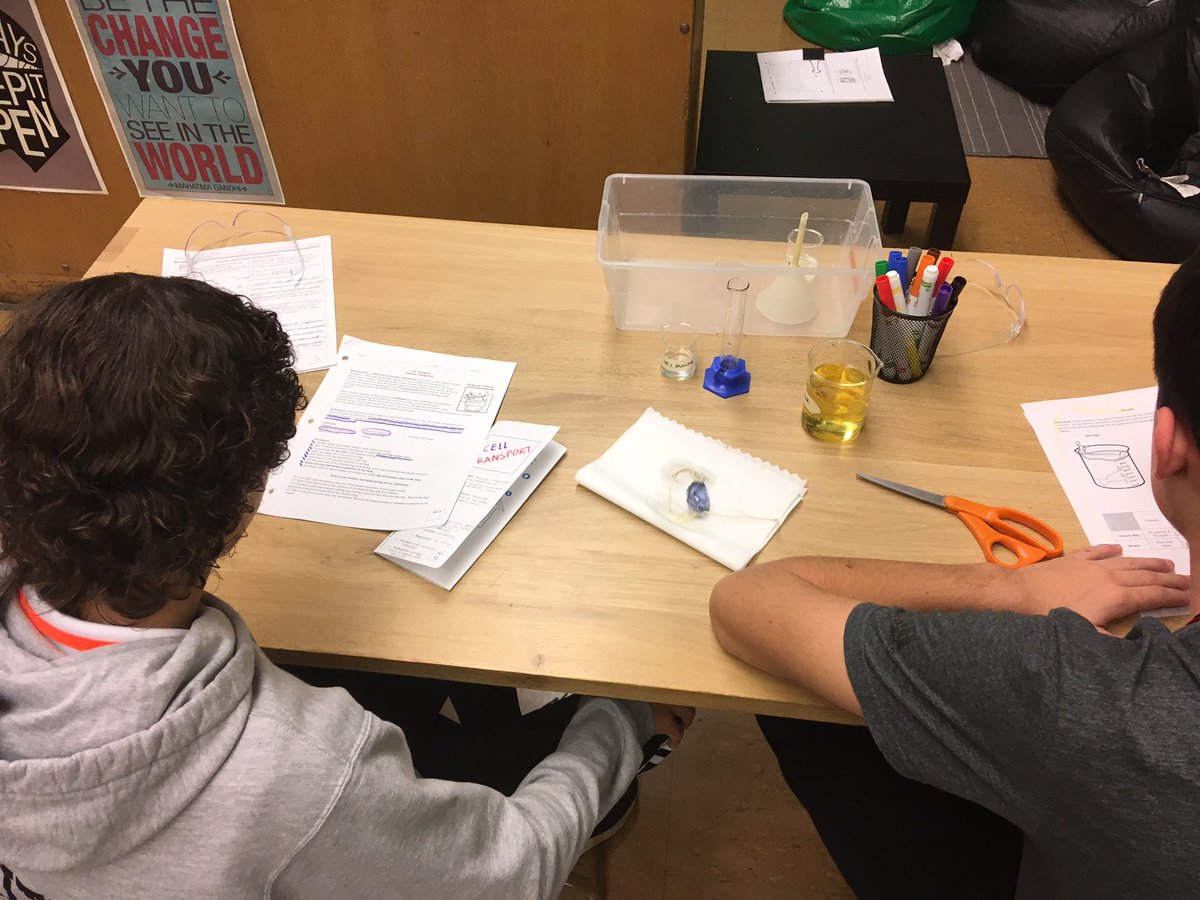 “Wait, we’re doing work today?!” Yes! Bio students master concepts of osmosis through targeted small group instruction and lab! @IHSBucPride