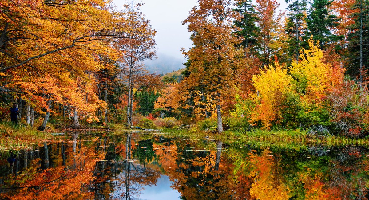 Cape Breton’s breathtaking fall foliage #FallForCapeBreton #NSLeafWatch #VisitCapeBreton #CapeBretonAdventure #VisitNovaScotia #ExploreCB
#cabottrail #capebreton