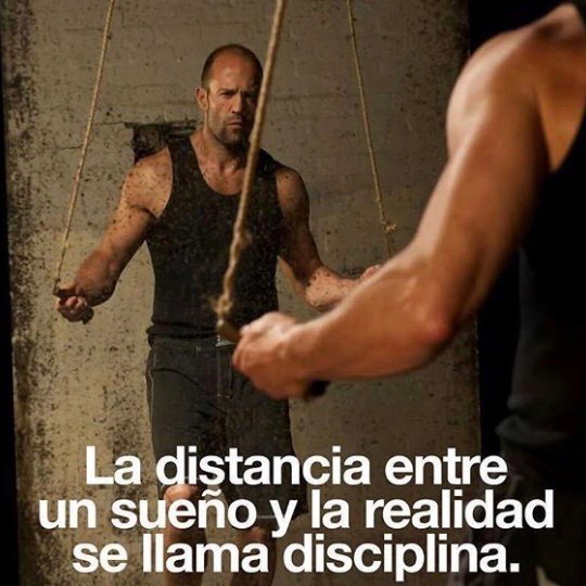 exitosos4ever's tweet image. 