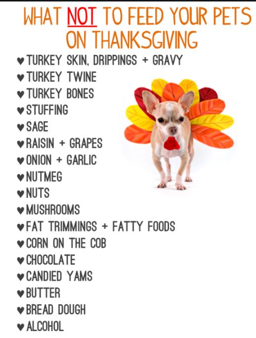 GeCoHD's tweet image. 