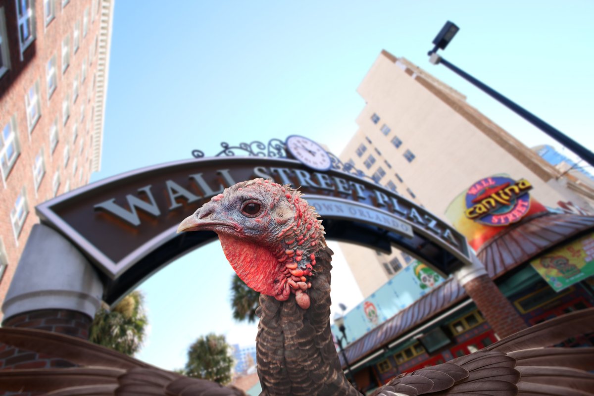 We are thankful for all of our great residents, businesses and visitors ... even this turkey that decided to take a selfie with the Wall Street Plaza sign.

Happy Thanksgiving!