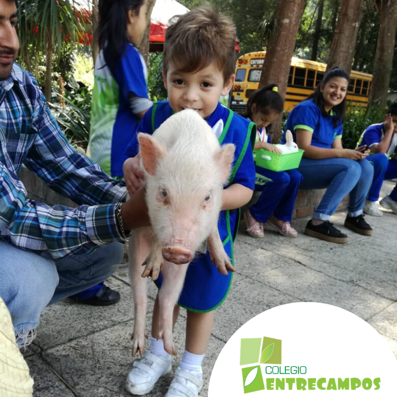 entrecamposgt's tweet photo. Como colegio comprendemos que los padres de familia buscan una educación de calidad para sus hijos, pero olvidan agregarle un factor muy importante, ¡Que sus hijos sean realmente felices aprendiendo! 💚
#preprimaria #primaria #secundaria #bachillerato #educación #colegio #alumnos https://t.co/wBBLlKPkVy