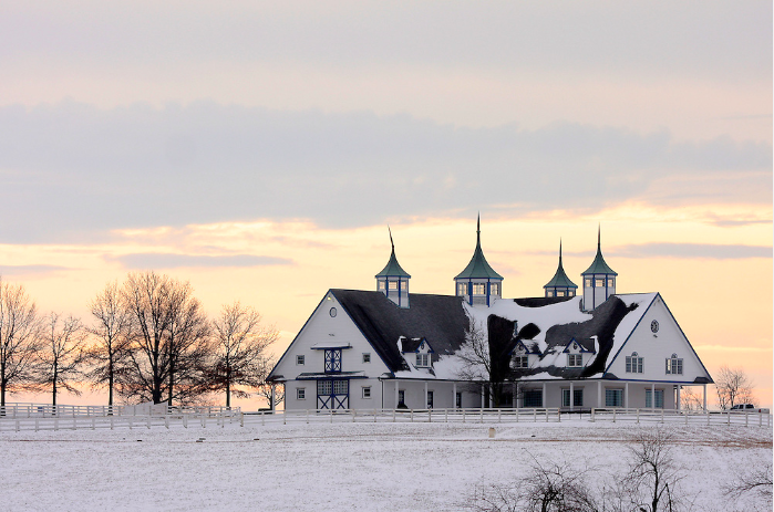 EclipseSports's tweet photo. "I live in a #house, but my #home is in the #stable" - Unknown #Tuesdaymood 

📸 Candice Chavez https://t.co/AQl4RW5E9A